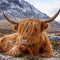 3-Day Scotland Tour | 24 - 26 October